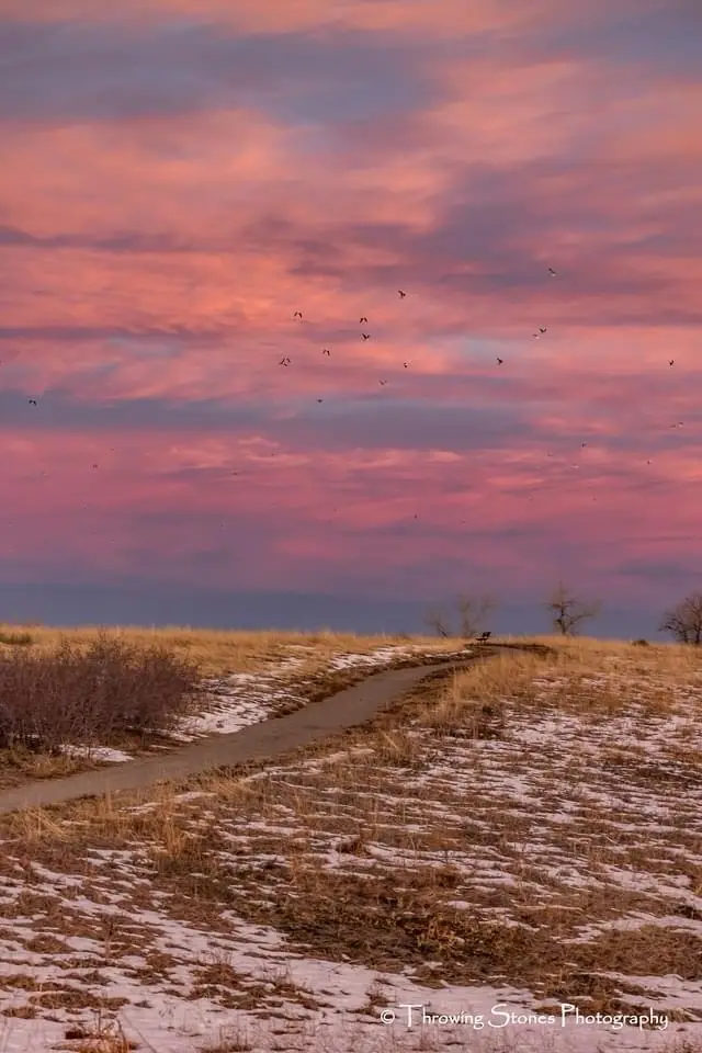 A scenic photo of a winding dirt path through a snowy, grassy field under a vibrant pink and purple sunset sky, with birds…