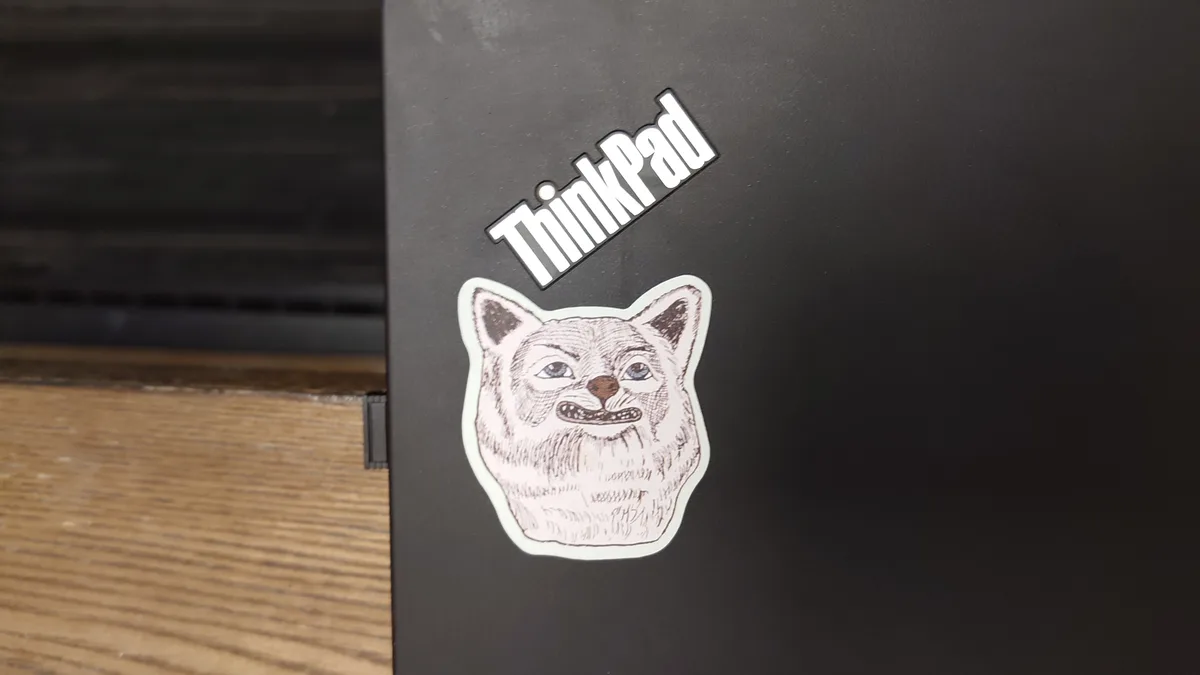 A close-up photo shows a black laptop with a white 'ThinkPad' logo sticker above a sticker of a cat's face with a grumpy…