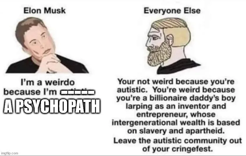 The image is split into two panels. The left panel shows a photo of Elon Musk with the text 'Elon Musk' above him and 'I'm a…