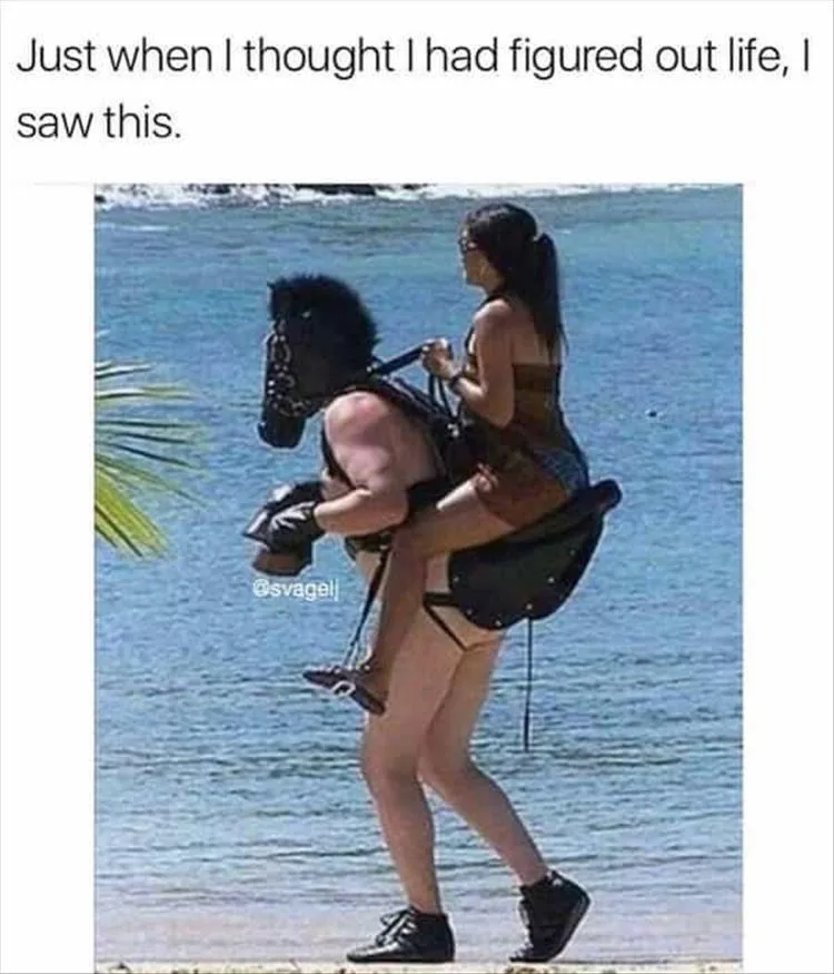 A Massive Collection of Stolen Memes #017