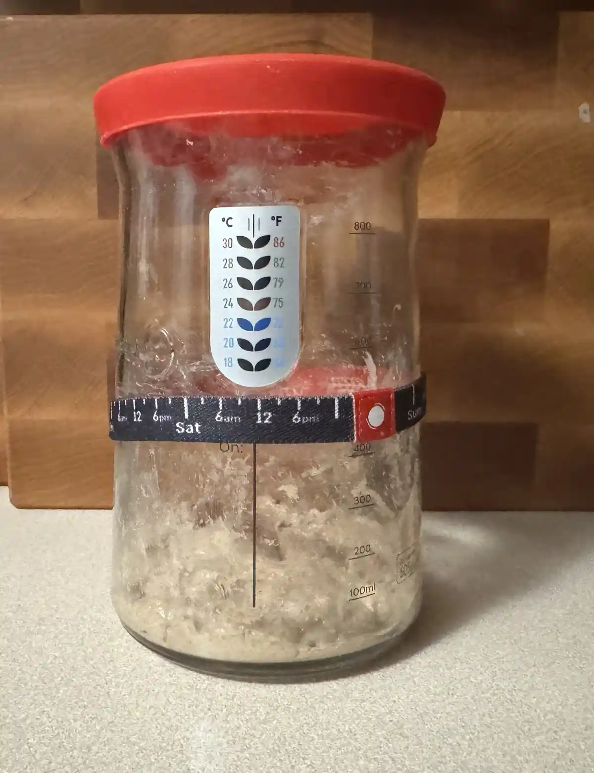 A glass jar with a red lid, filled with a frothy, bubbly substance, sits on a countertop. A thermometer sticker on the jar…
