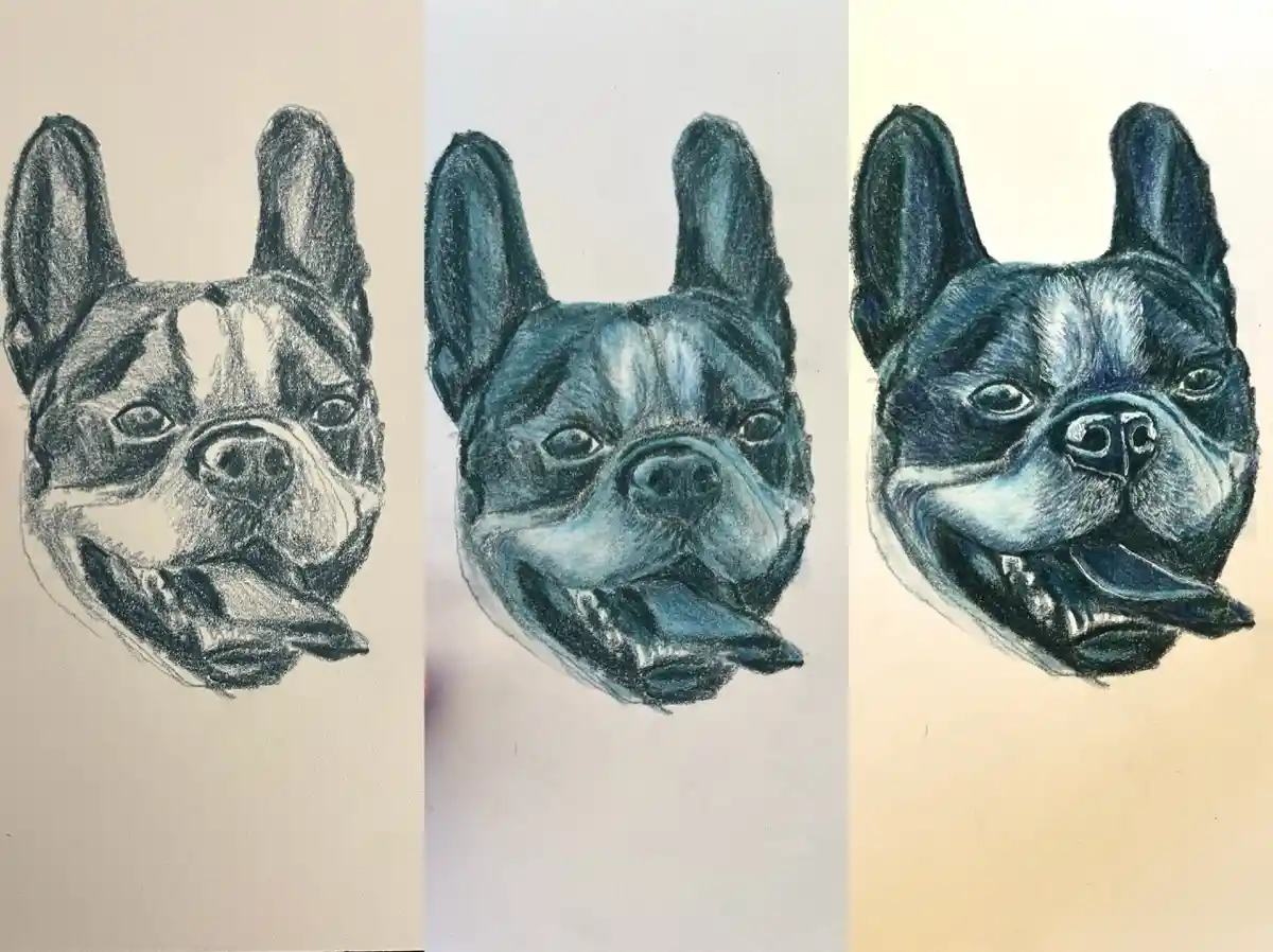 The image displays three side-by-side pencil drawings of a French bulldog's head, showing a clear progression from a simple…
