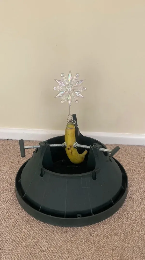 A banana is inserted into the base of a Christmas tree stand and secured with metal clamps, topped with a clear plastic star…