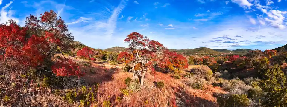 A panoramic photo of a vibrant autumn landscape with red and orange trees on rolling hills under a blue sky with wispy…