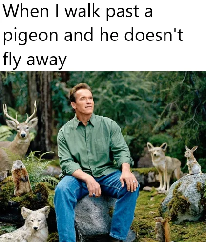 A man in a green shirt and blue jeans sits calmly on a mossy rock in a forest, surrounded by various wild animals including…