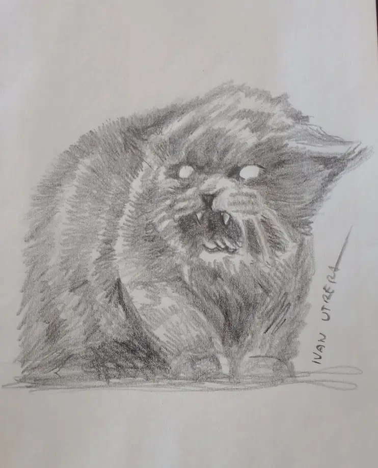 Adorable Cat Shenanigans