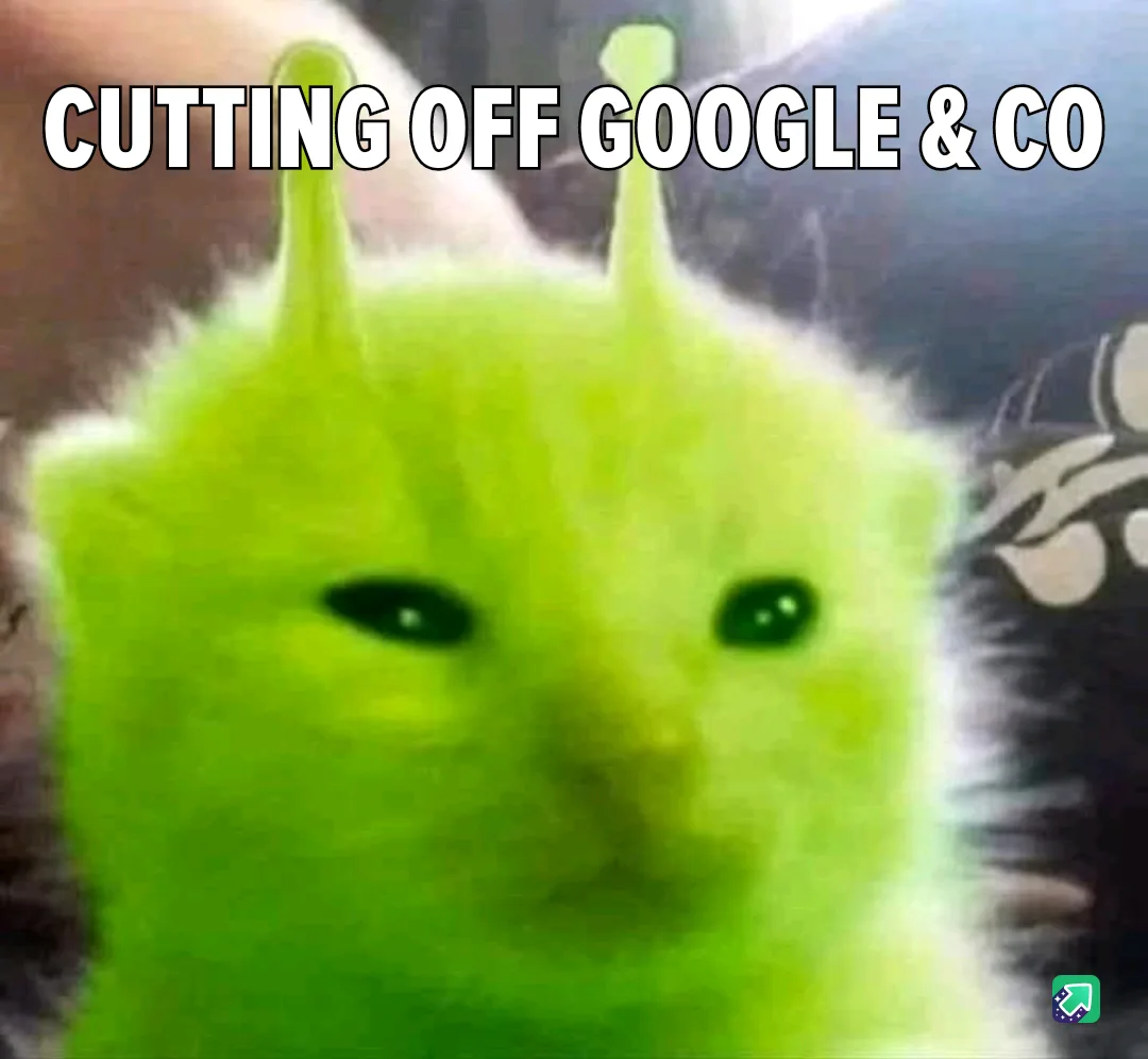 A close-up image of a fluffy, bright green cat with two antennae-like protrusions on its head, looking directly at the…
