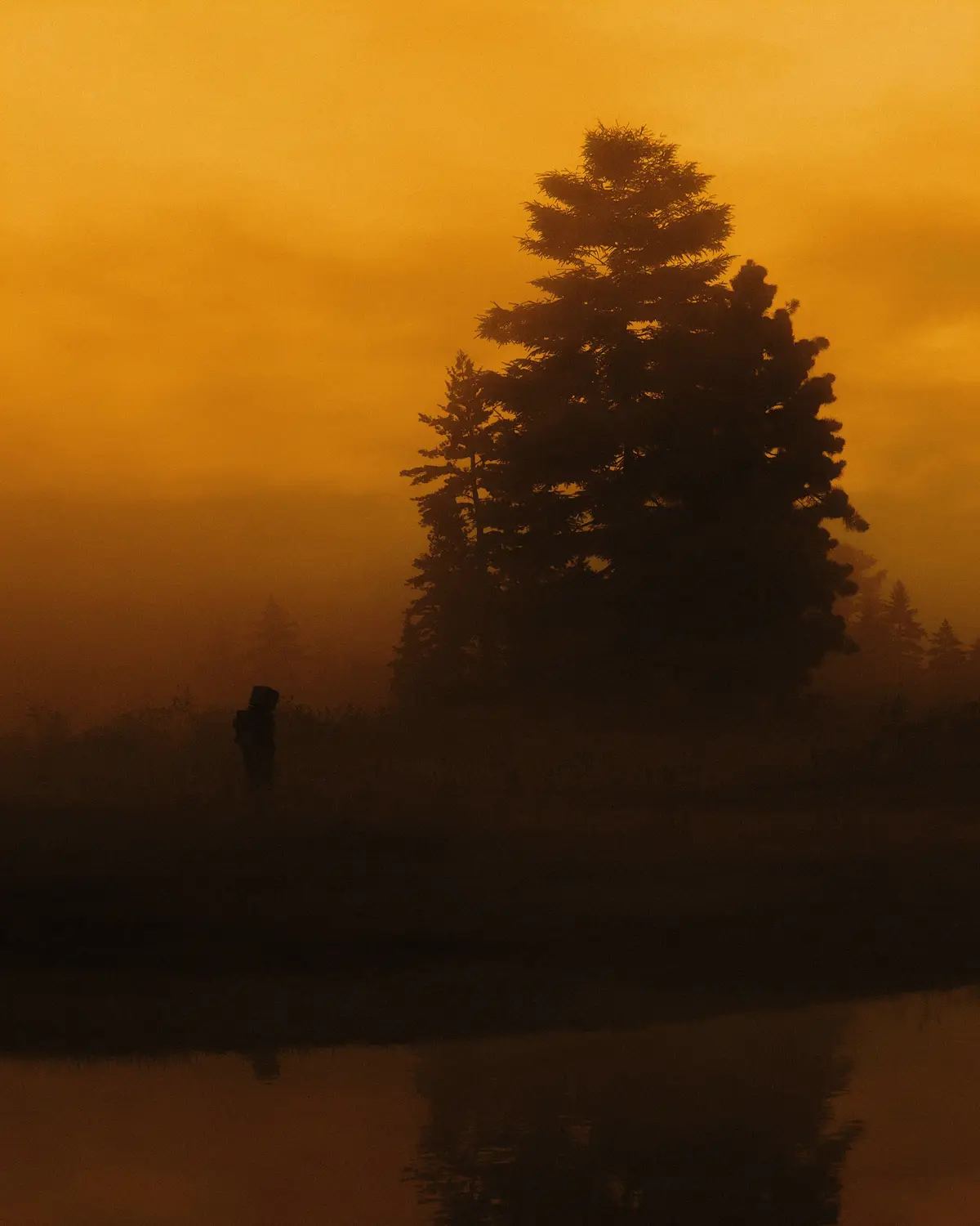 A silhouette of a person standing in a misty field at sunset, with a large tree nearby and its reflection in water below…