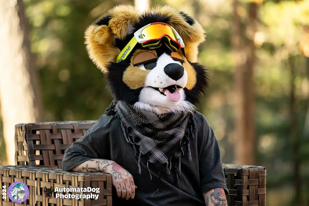 A person in a furry animal costume resembling a black-and-tan dog or fox sits in a wicker chair outdoors, wearing ski…