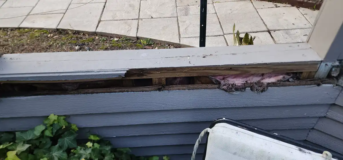 A close-up photo shows a damaged section of a house's exterior siding, where a horizontal board is broken and missing…