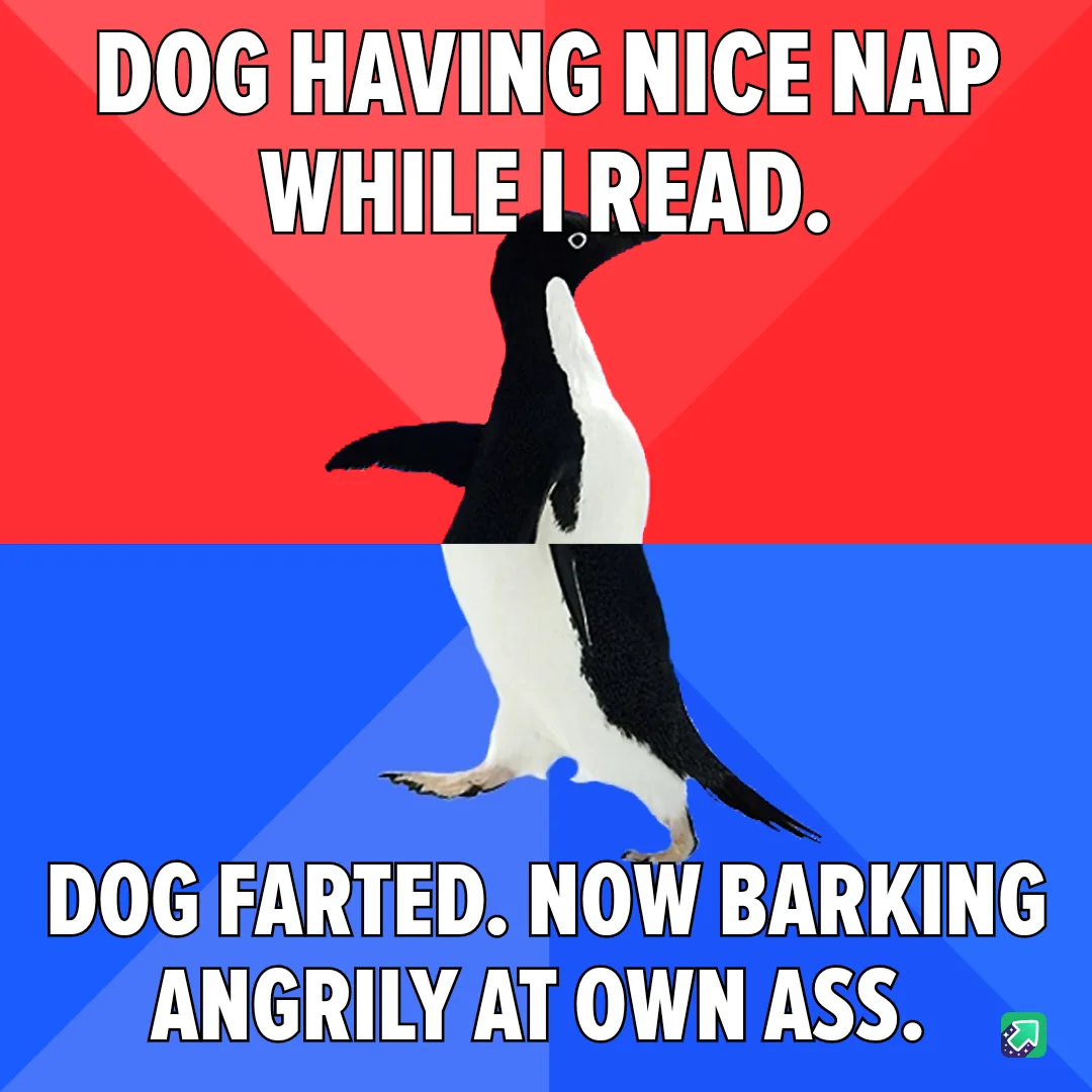A penguin stands centered against a red and blue background, split horizontally. The top half reads 'DOG HAVING NICE NAP…