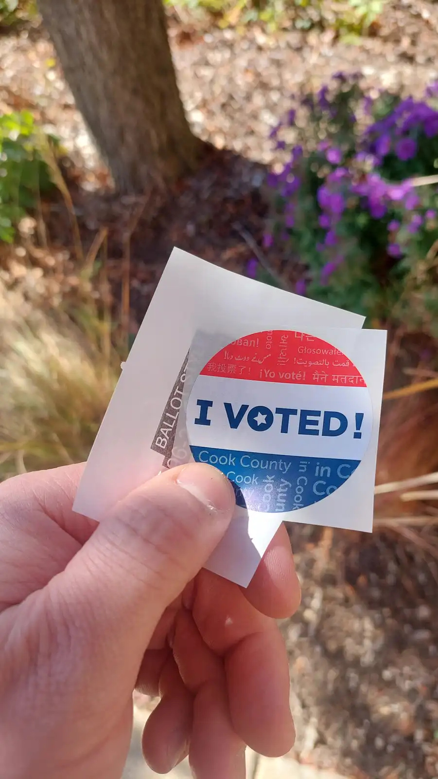 A hand holds a circular 'I VOTED!' sticker with red, white, and blue sections, featuring multilingual text including '我投票了!'…
