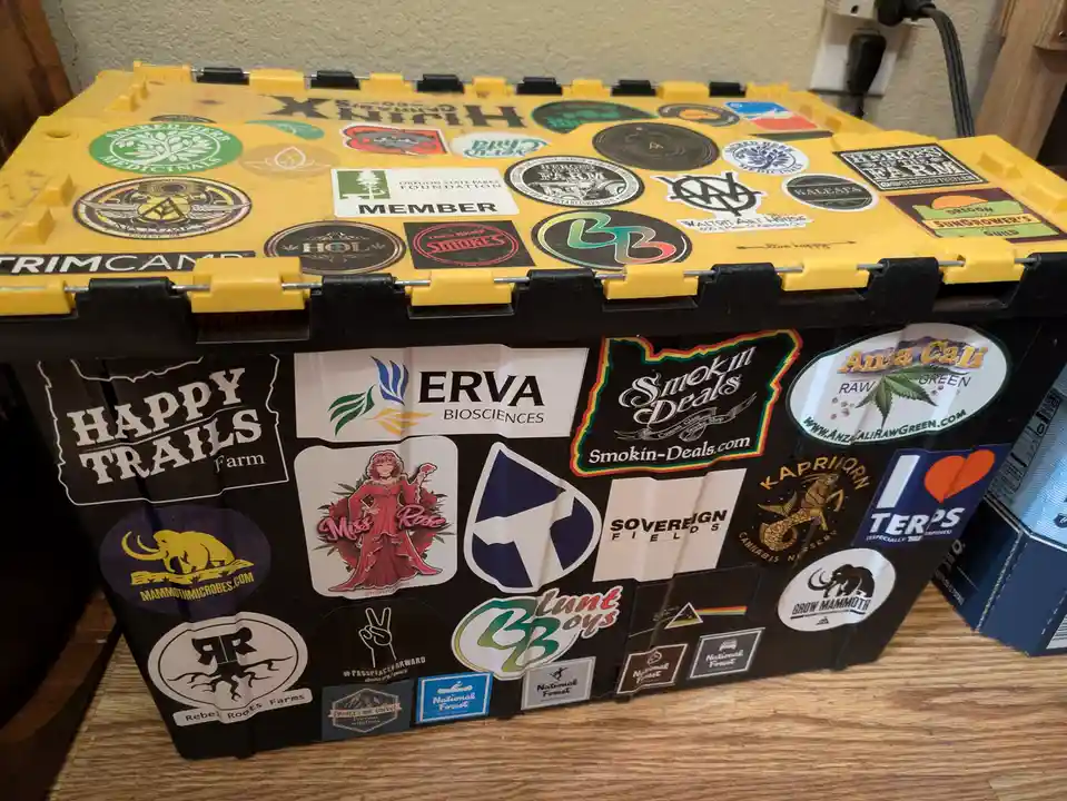 A yellow and black plastic storage bin is covered in dozens of cannabis-related stickers from various farms, brands, and…