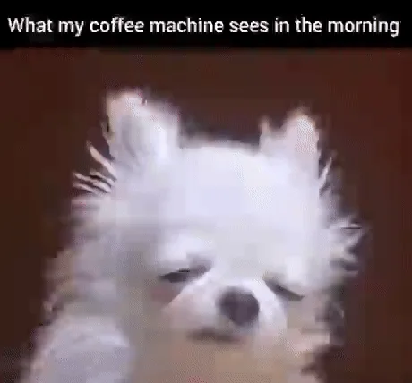 A six-panel image shows a fluffy white dog in various sleepy, groggy expressions, including blinking, yawning, and licking…