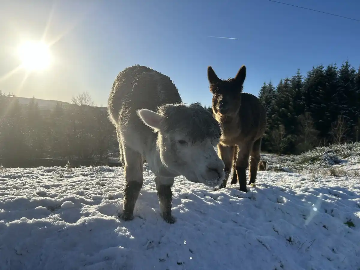 The sun finally decided to shine in Scotland!