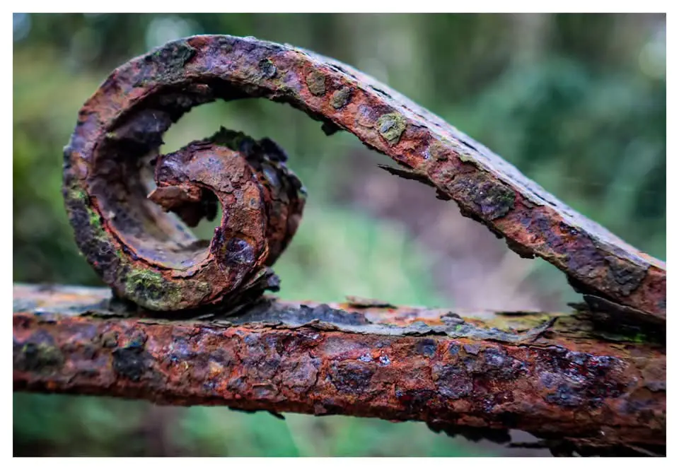 A close-up photograph shows a rusty, curled metal object resembling a fern frond, resting on a similarly corroded horizontal…