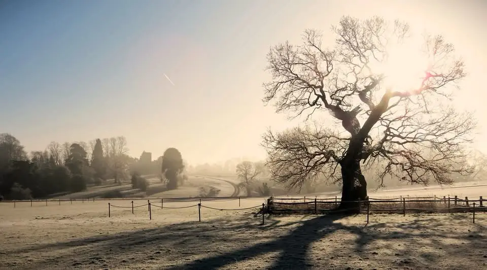 A serene, frost-covered landscape with a large, bare tree silhouetted against a bright sun, casting long shadows on the…