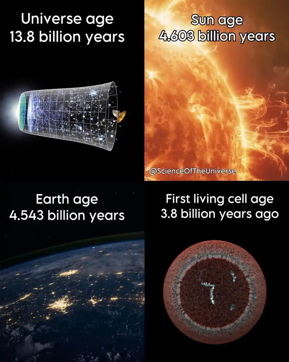 A four-panel image displays cosmic and biological timelines: the universe (13.8 billion years), the sun (4.603 billion…