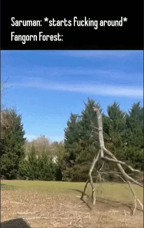 A sequence of six images shows a tree branch in a forest progressively bending and twisting into increasingly absurd, almost…