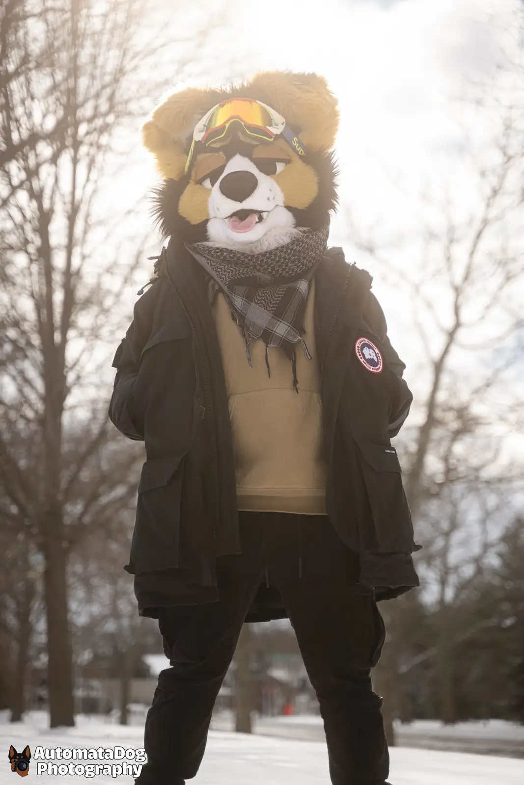 A person in a full-body furry costume resembling a tan and black dog stands in a snowy outdoor setting, wearing a black…