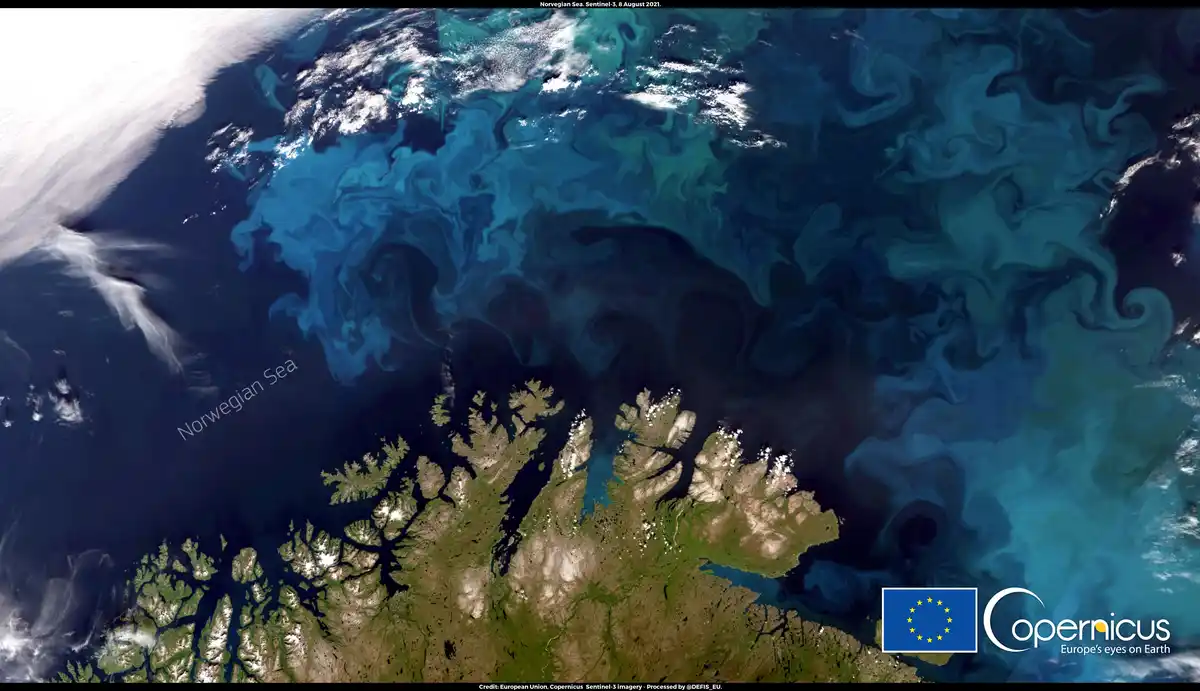 A satellite image from Sentinel-3 shows swirling turquoise and deep blue waters of the Norwegian Sea with a jagged, green…