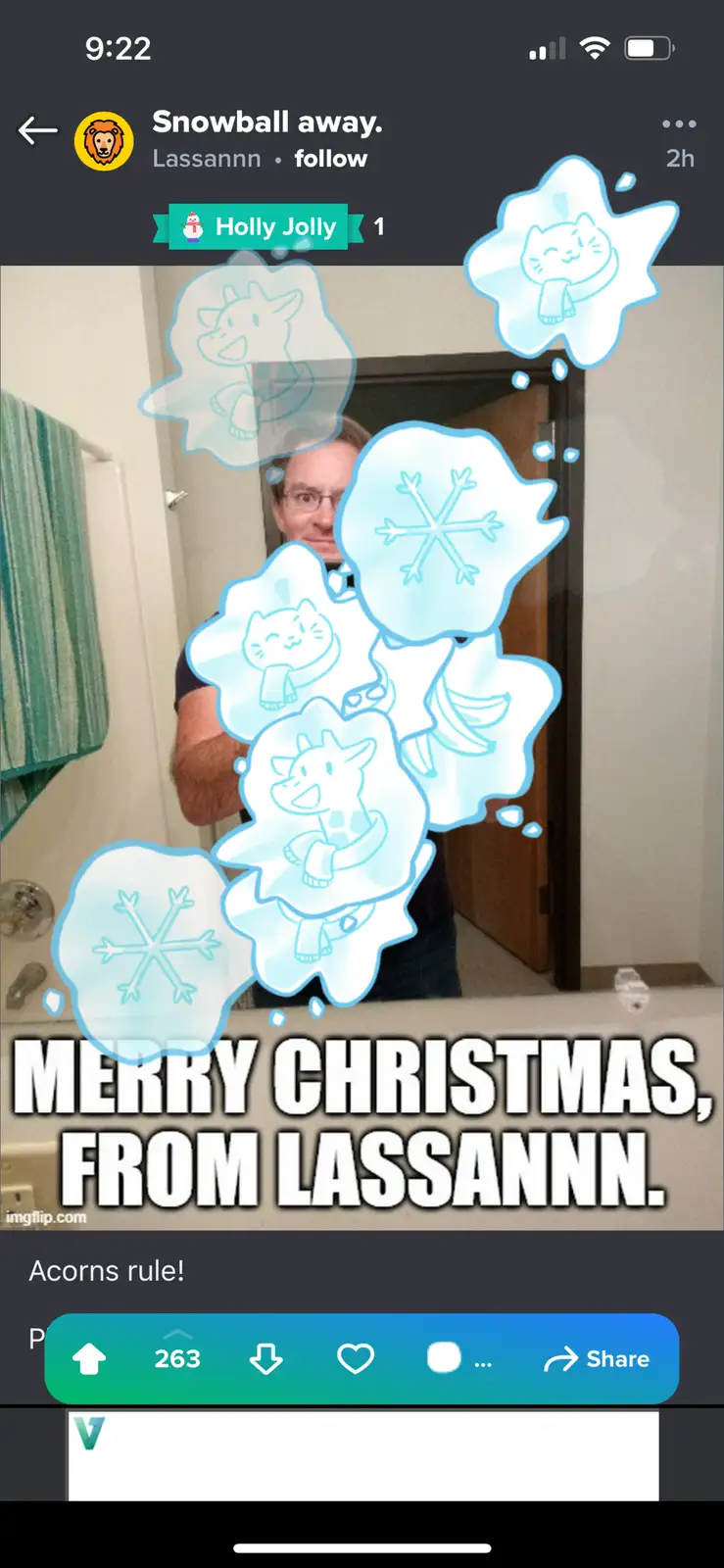 A man in a bathroom mirror is obscured by cartoon snowflakes containing cats, snowflakes, and a banana. Text at the bottom…