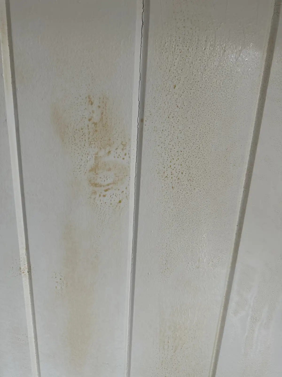 A close-up of a white paneled door or wall with brownish water stains. On the left panel, the stains form a faint, blurry…