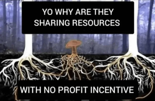 An image shows two trees in a forest with their root systems visibly intertwined, exchanging nutrients. Overlaid text in two…