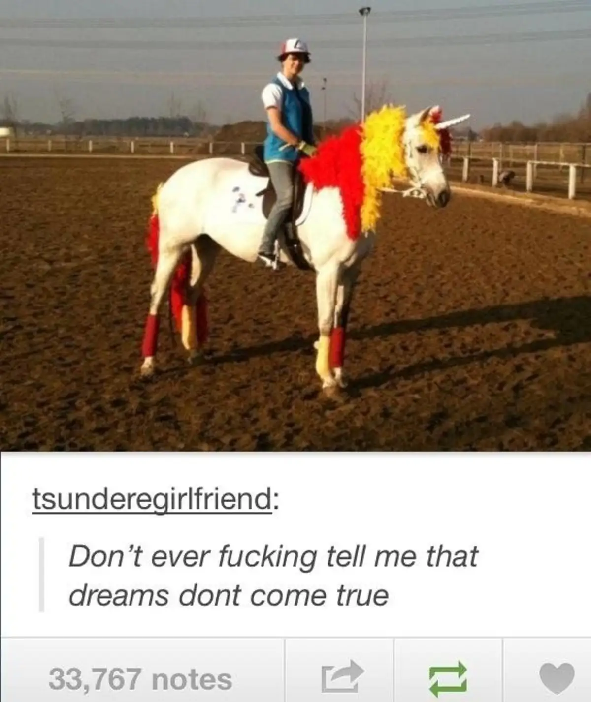 A person in riding gear sits atop a white horse in a dirt arena, which is adorned with a red and yellow feathered mane, a…