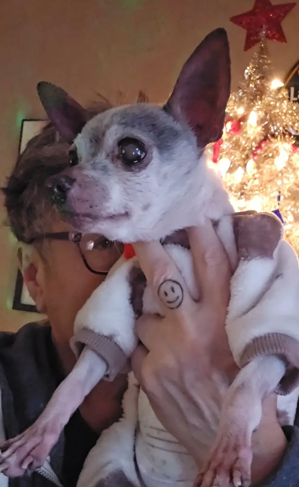Awkward Holiday Selfie Day with My Dog - Merry Happy Holidays!