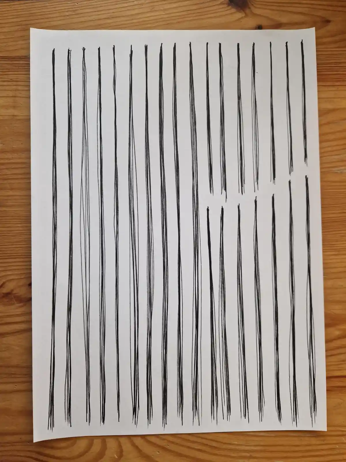 Lesson One: Mastering the Art of Drawing