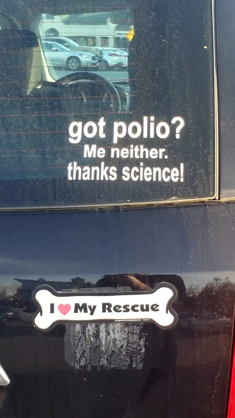 A close-up of a dark car window showing two stickers. The top sticker reads 'got polio? Me neither. thanks science!' in…