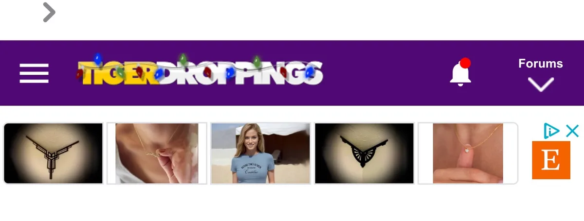A screenshot of a website header labeled 'TIGER DROPPINGS' with festive lights above the text, showing a row of five images…