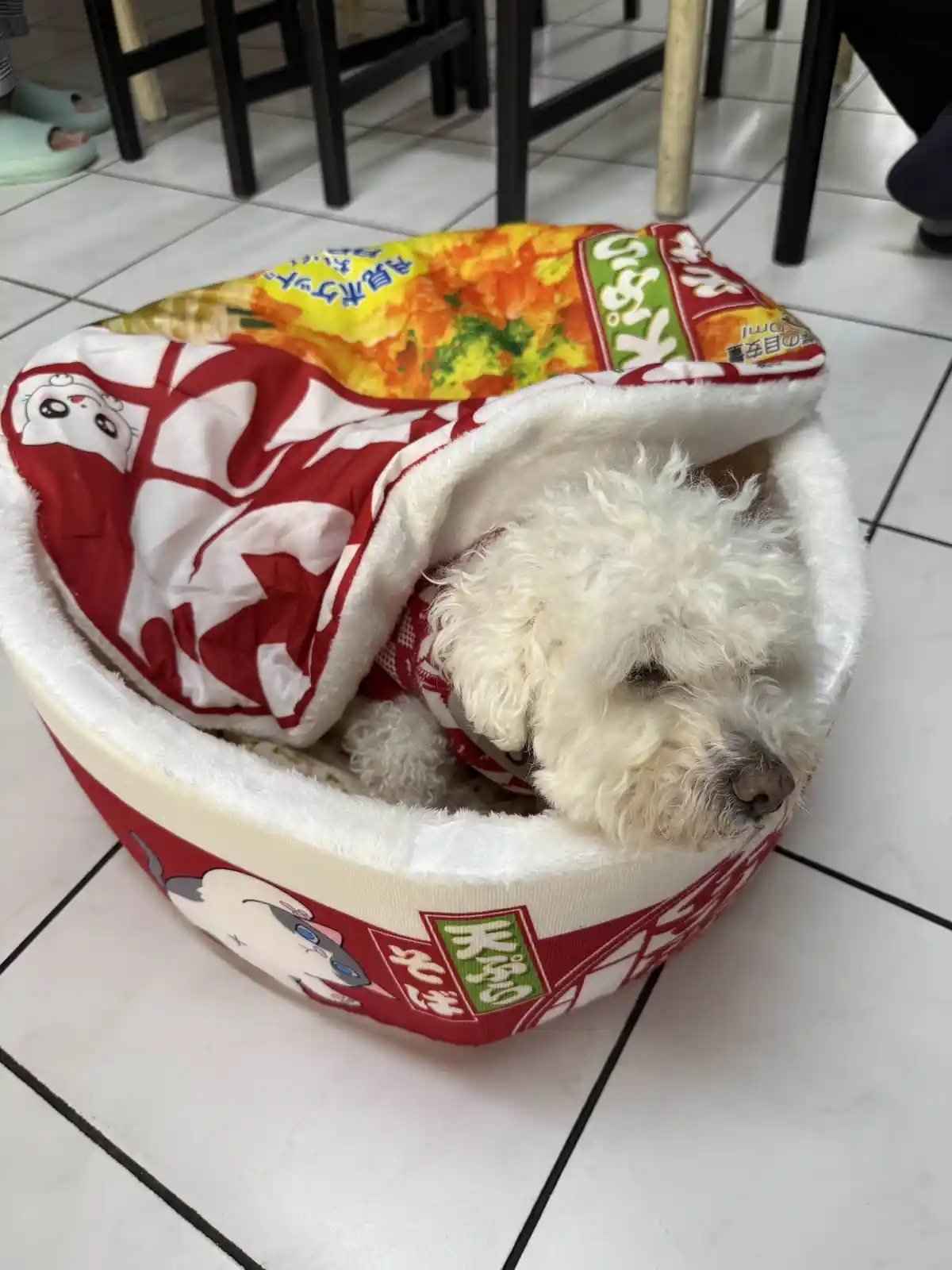 A small, fluffy white dog is curled up and sleeping inside a plush, round pet bed designed to look like a bag of Japanese…