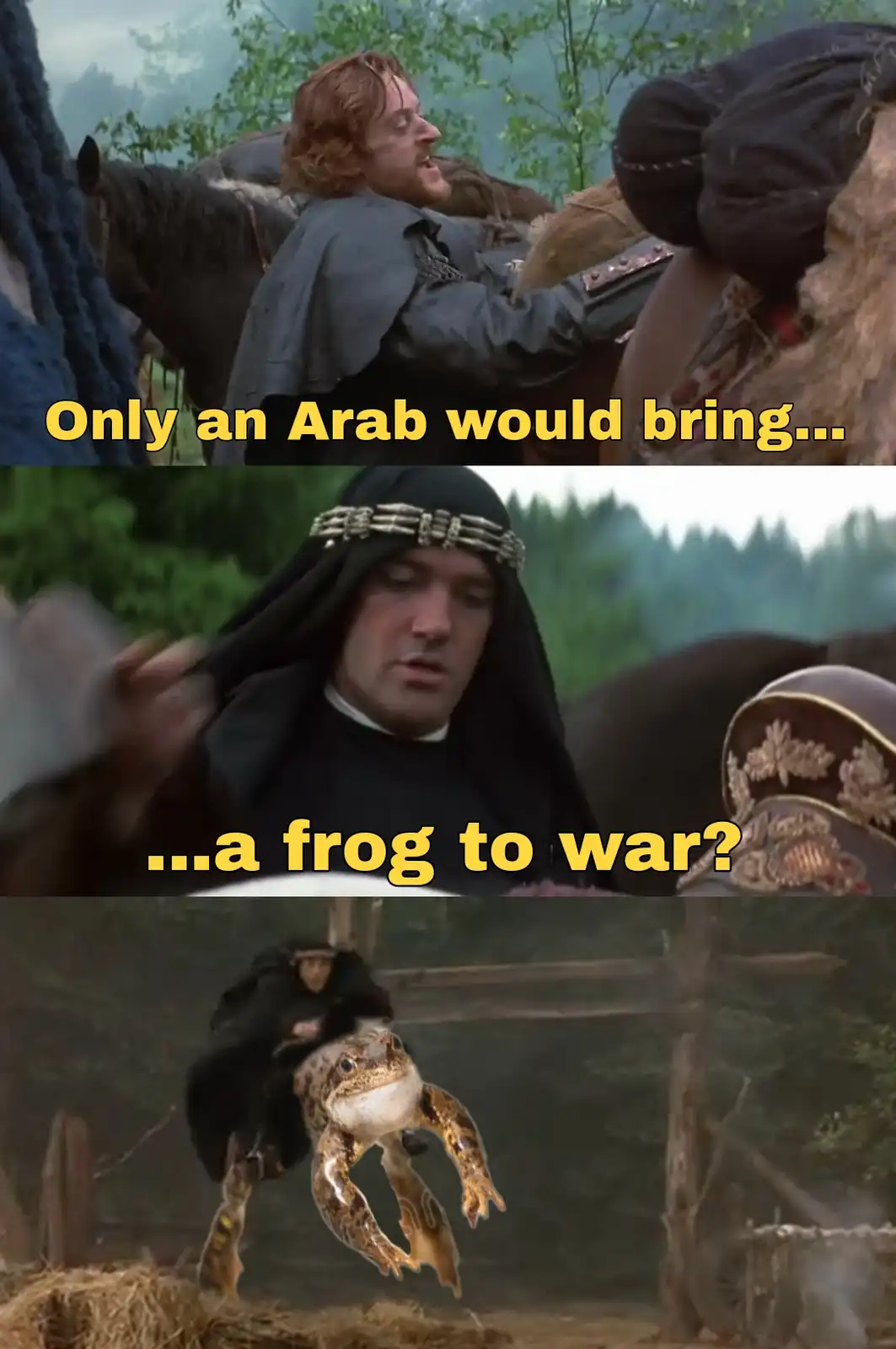 The meme is a three-panel image from the movie 'Monty Python and the Holy Grail'. The top panel shows a man in medieval…