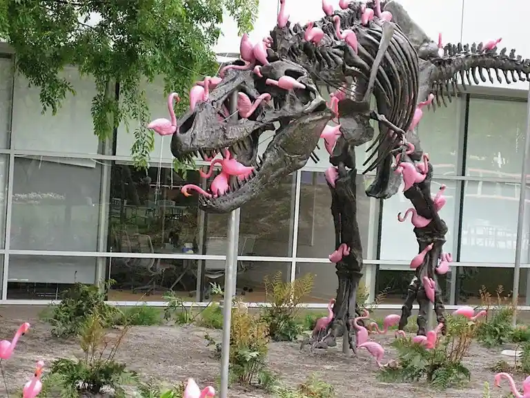 Did you know flamingos can strip a T-Rex to the bone in no time?