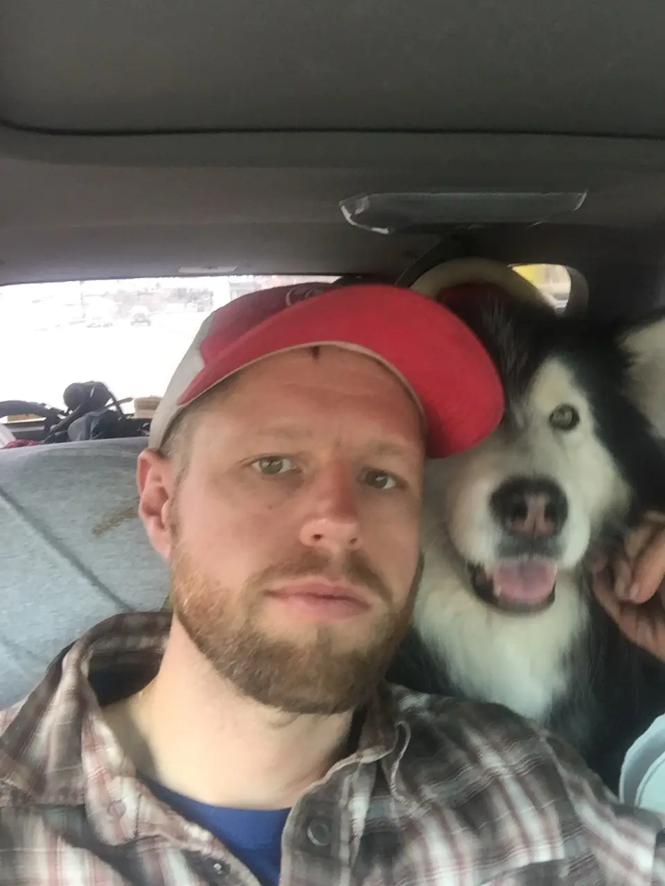 A man with a beard and red baseball cap takes a selfie in a car, with a large black-and-white dog (likely a husky or similar…