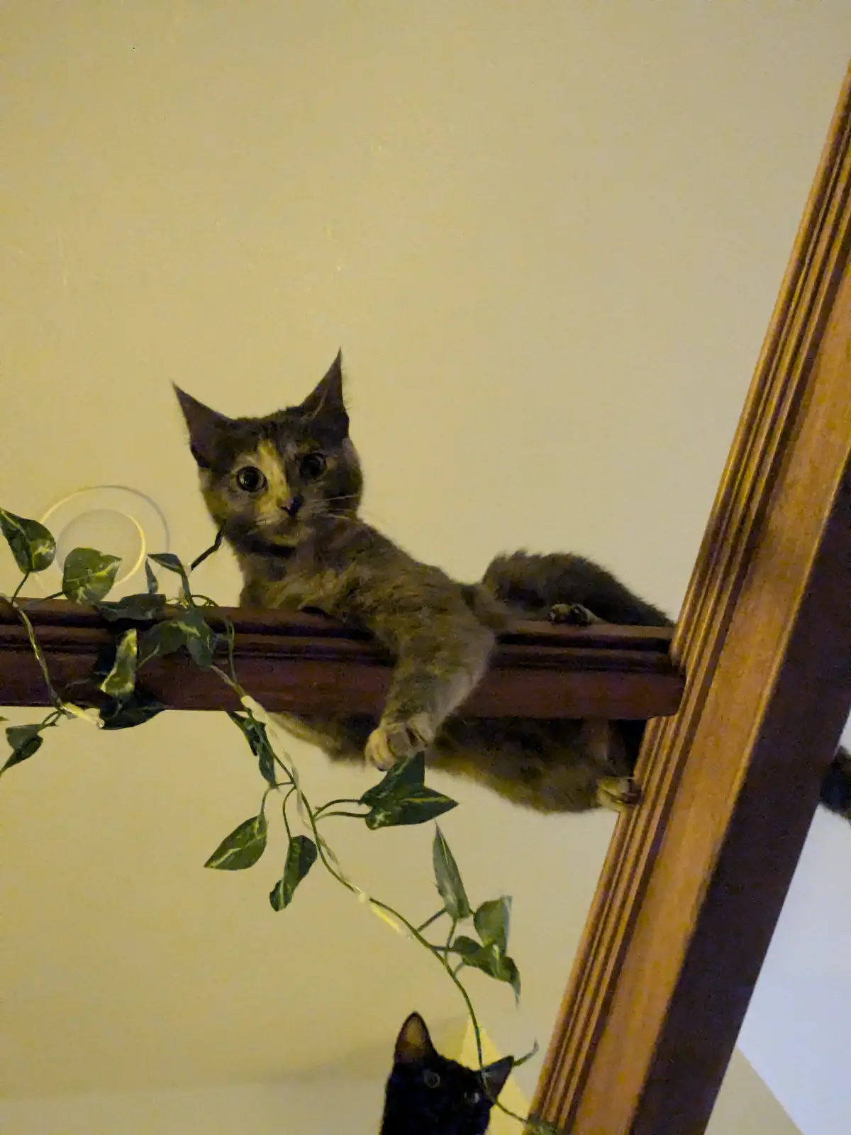 What's Happening Down There?