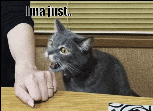 A gray cat sits on a wooden table, initially looking at a human hand with text saying 'Ima just.. Homan...' then 'OK'. The…