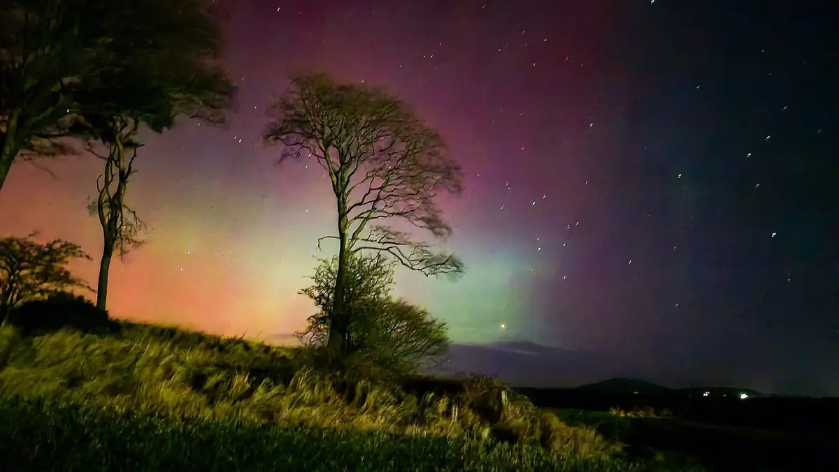 A night sky photograph shows silhouetted trees on a grassy hill under a vibrant, colorful aurora borealis with stars…