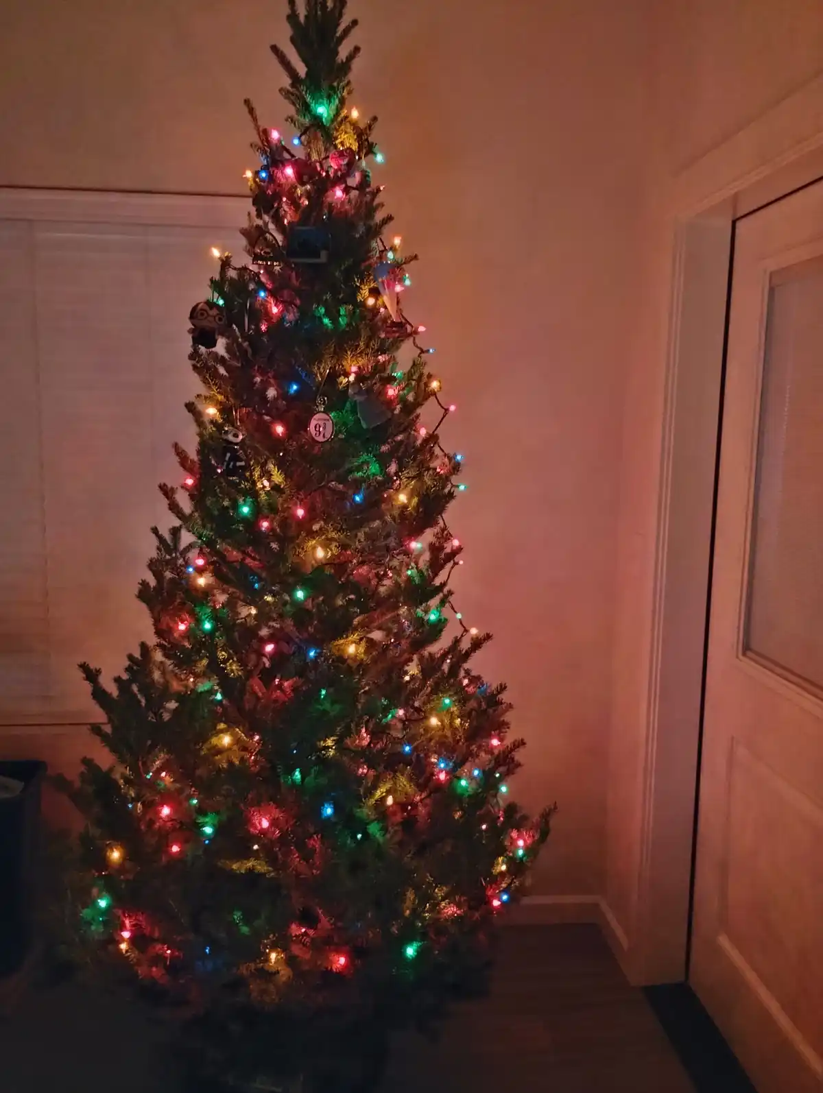 A decorated Christmas tree with multicolored lights and various ornaments stands in a dimly lit room next to a door and…
