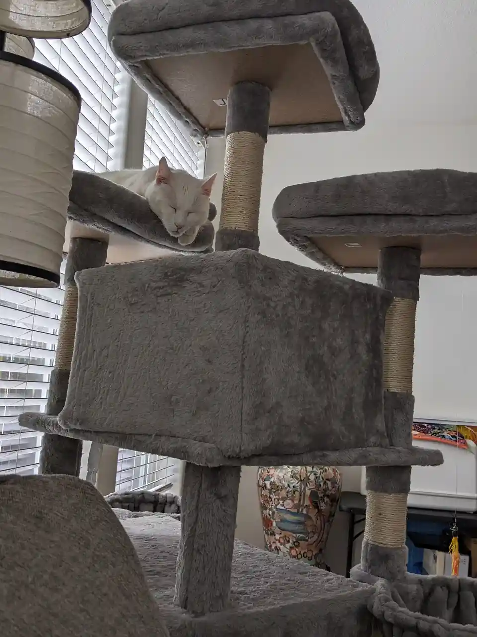 A white cat is peacefully sleeping on a grey, multi-level cat tree with plush platforms and sisal-wrapped posts. The cat is…