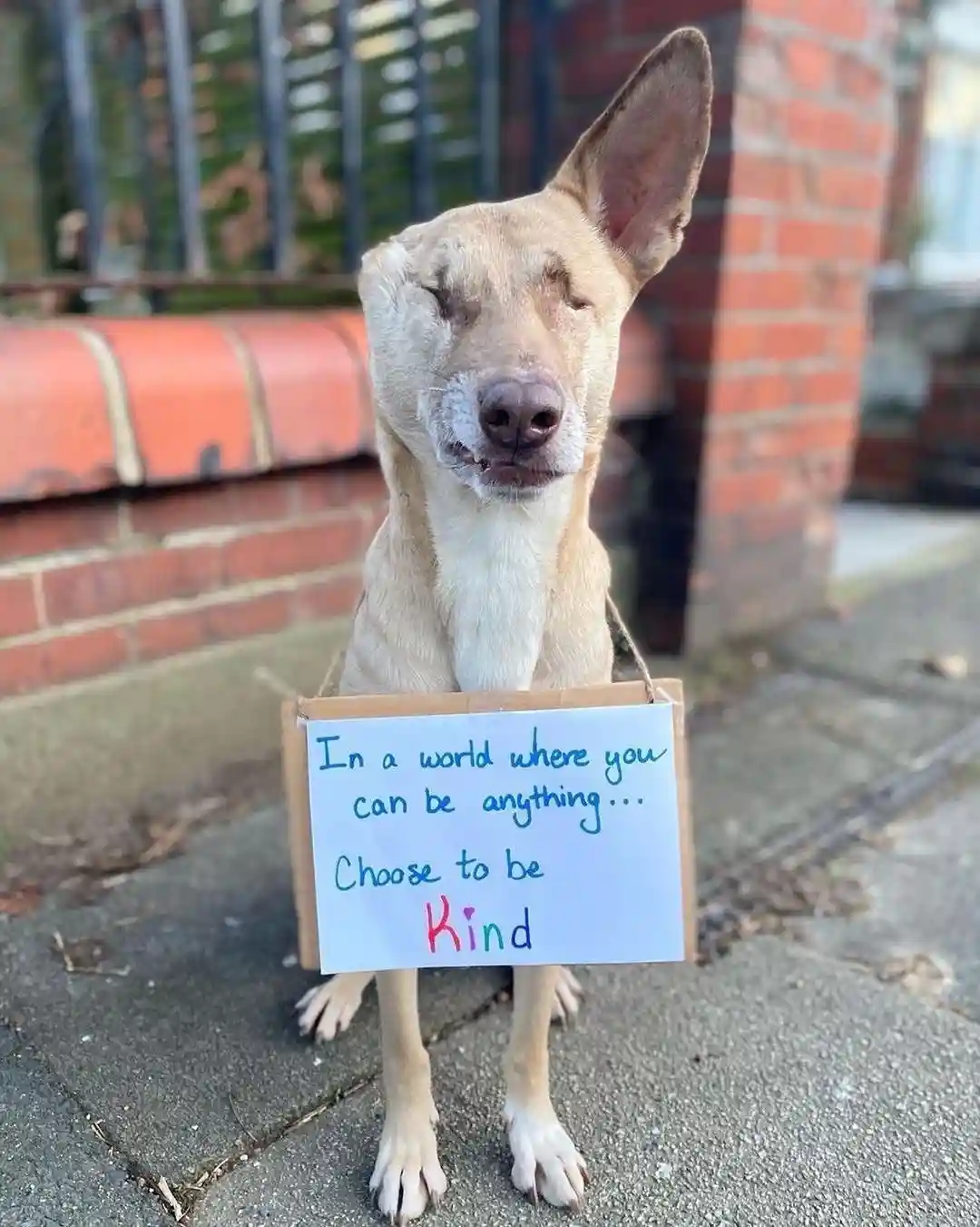 Spread kindness wherever you go.