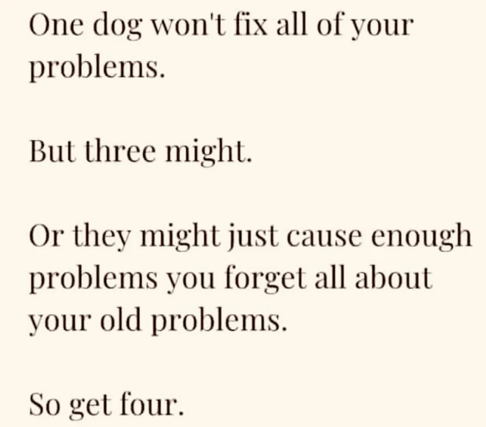 The image displays black serif text on a plain beige background. The text is arranged in four distinct paragraphs, each…