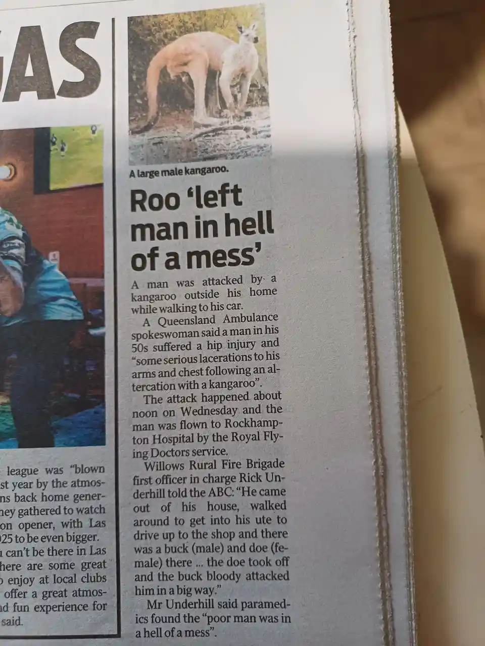 Skippy's Sweet Revenge
