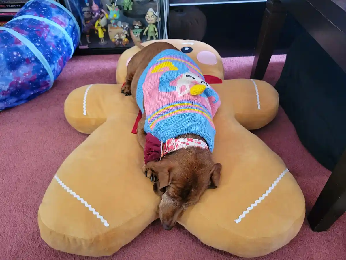 Meet My Adorable Pup Tiger Lilly #682