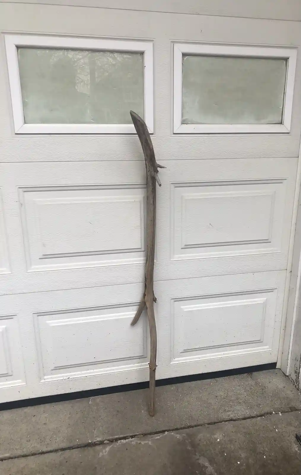 A long, irregularly shaped piece of driftwood or a gnarled stick leans upright against a white, paneled garage door with two…