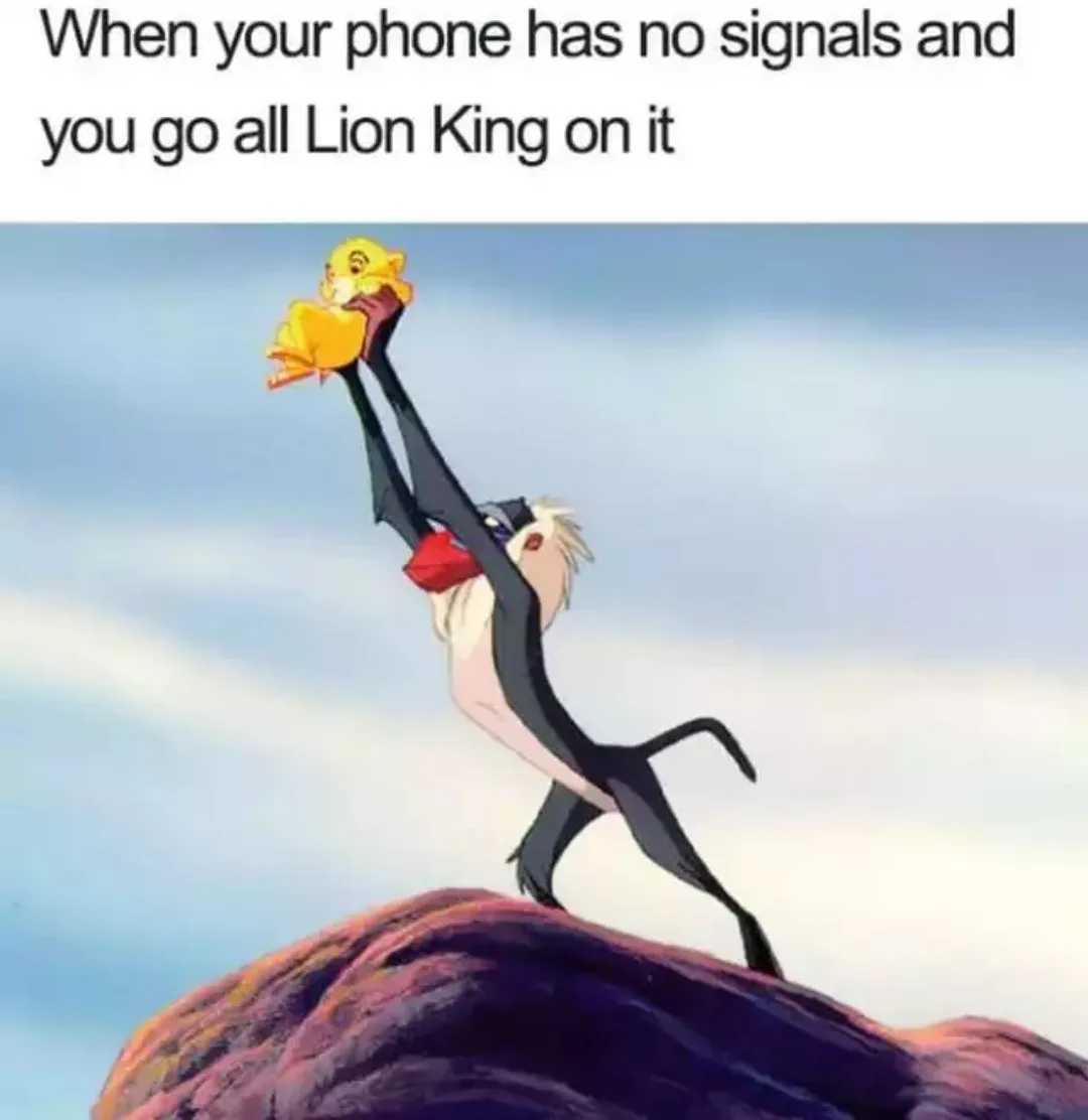 An animated image shows Rafiki, a mandrill, standing atop Pride Rock holding up a baby lion cub, Simba, high in the air…