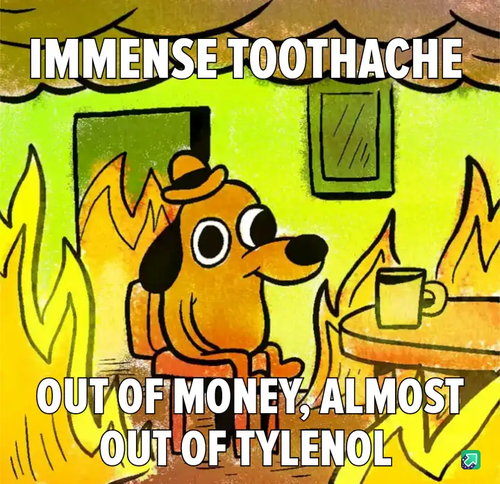 A cartoon dog wearing a hat sits in a room engulfed in flames, looking distressed. Text at the top reads 'IMMENSE TOOTHACHE'…