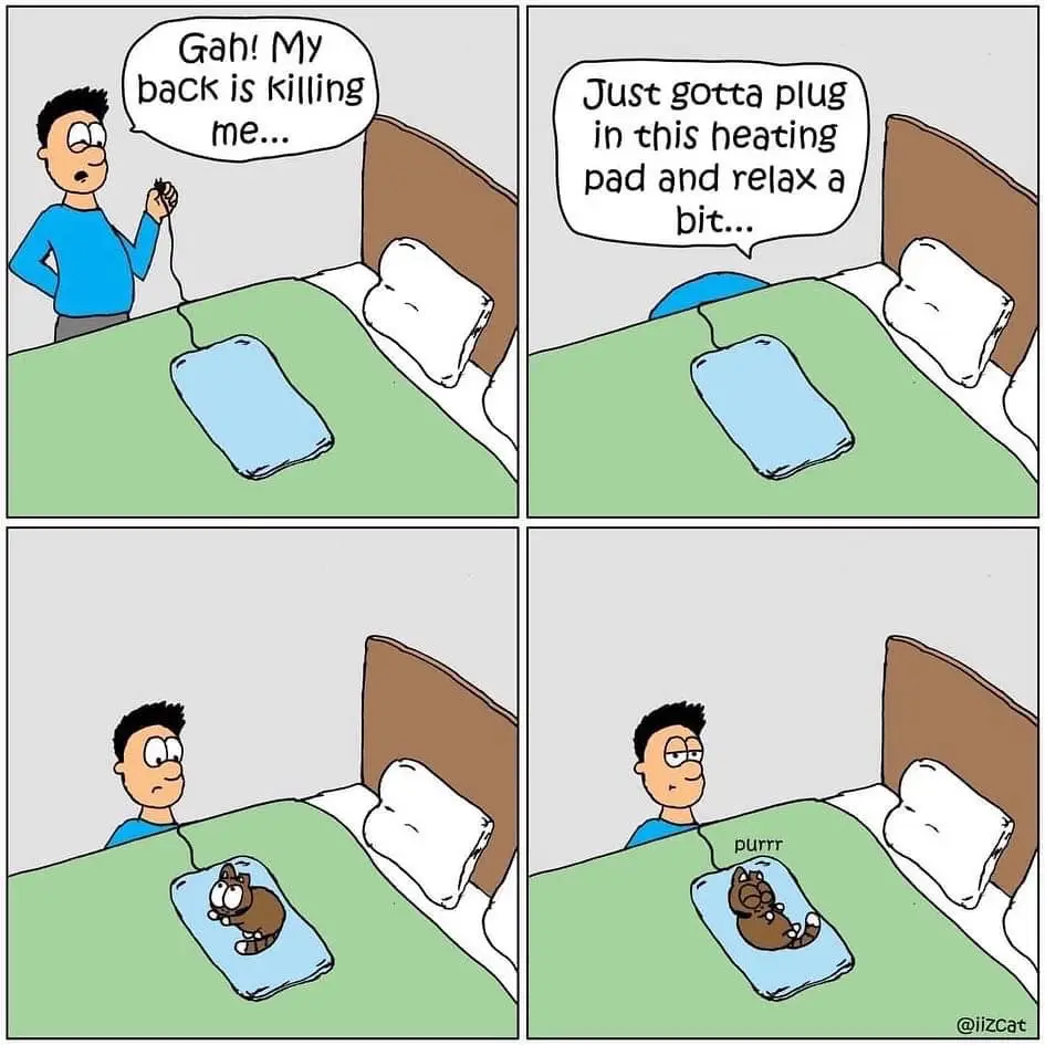 A four-panel comic shows a man in bed complaining about back pain, then plugging in a heating pad. He looks at it, expecting…